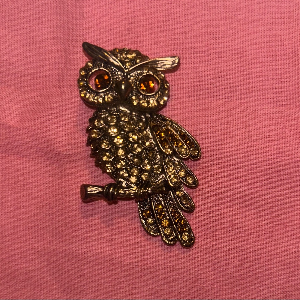 Chicos Brown Owl Brooch